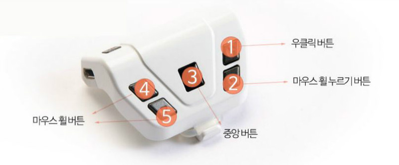 골무트리.JPG